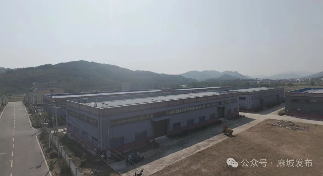 1761707846350257.jpg 5.jpg