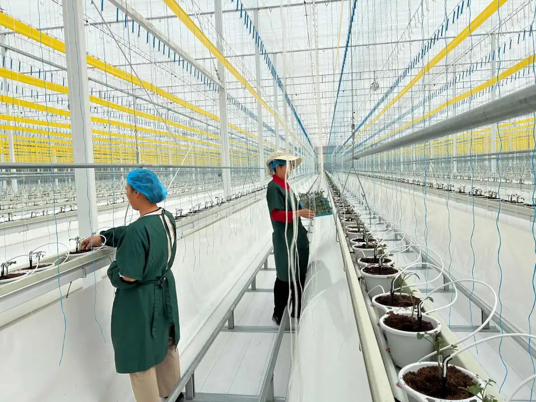 1761709157144179.jpg 1.jpg