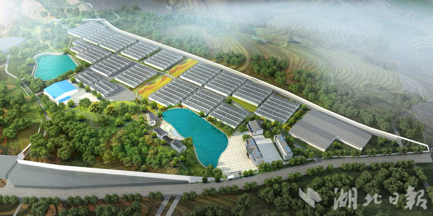 1761709698964426.png 2.png