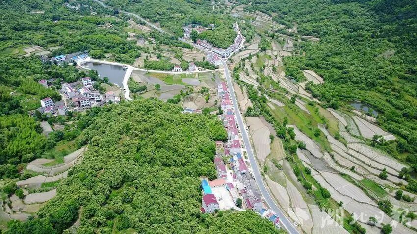 1761709741771804.jpg 3.jpg